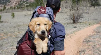Viaggi con loro: le regole di base